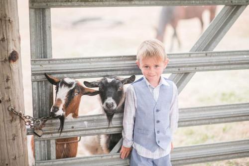 boy with willows goats